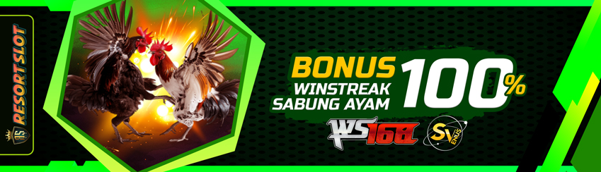 BONUS WINSTREAK SABUNG AYAM 100%